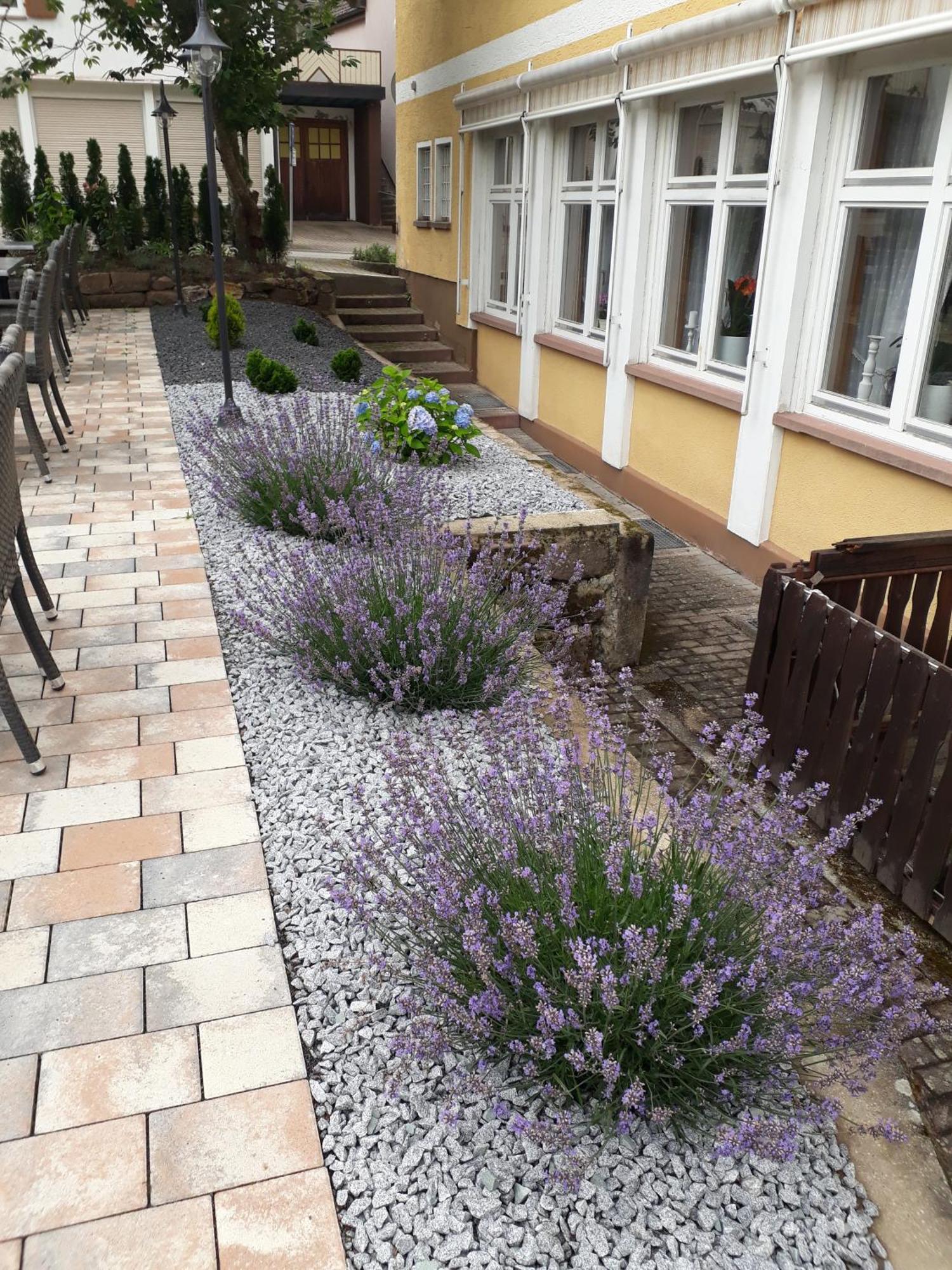 Hotel Eleon Bad Teinach-Zavelstein Exterior photo